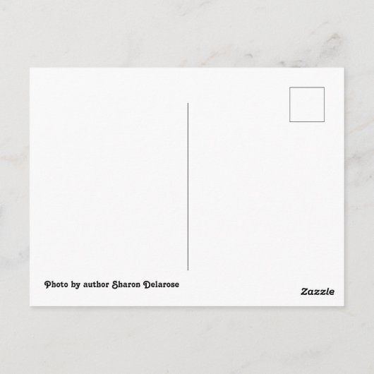 リオフリオリバーコンカンテキサス州ガーナー州パーク ポストカード (裏面)