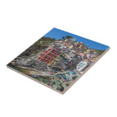 リオマッジョーレチンクテッレリグーリアイタリア タイル (側面)