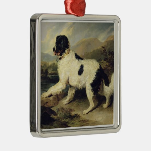 リオンと呼ばれるニューファンドランド犬, 1824 (キャンバス上の油) メタルオーナメント (右)