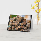 リオ・グランデ・コットン・ウッドの木々に沿った星 カード (黄色い花)