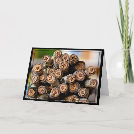 リオ・グランデ・コットン・ウッドの木々に沿った星 カード (正面)