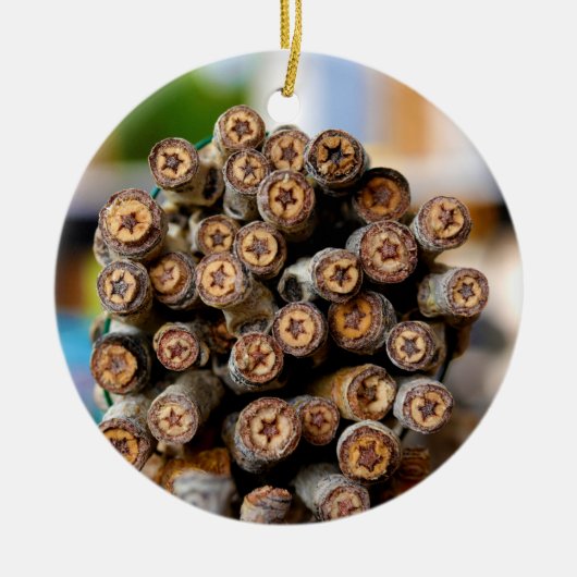 リオ・グランデ・コットン・ウッドの木々に沿った星 セラミックオーナメント (正面)