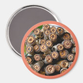 リオ・グランデ・コットン・ウッドの木々に沿った星 マグネット (正面/裏面)