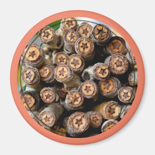 リオ・グランデ・コットン・ウッドの木々に沿った星 マグネット (正面)