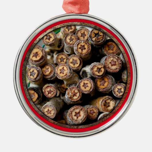 リオ・グランデ・コットン・ウッドの木々に沿った星 メタルオーナメント (正面)