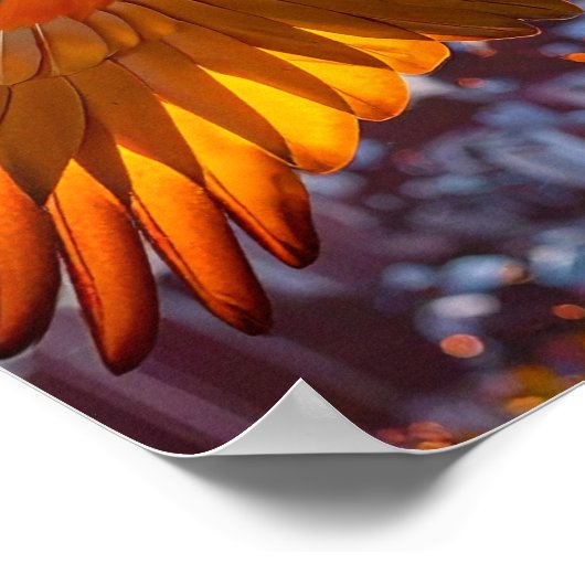 リオ・デ・ジャネイロのポスターの上のマカオ ポスター (角)