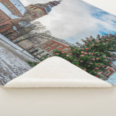 リガのクリスマスツリーとドーム広場 シェルパブランケット (3/4)