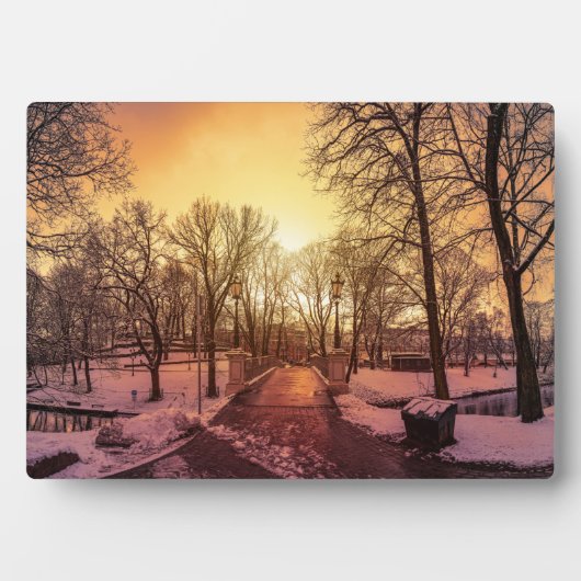 リガの雪に覆われた公園の夕焼け時のパノラマ景観 フォトプラーク (正面)
