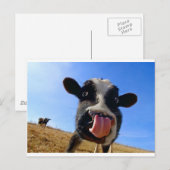 リキン牛 ポストカード (正面/裏面)