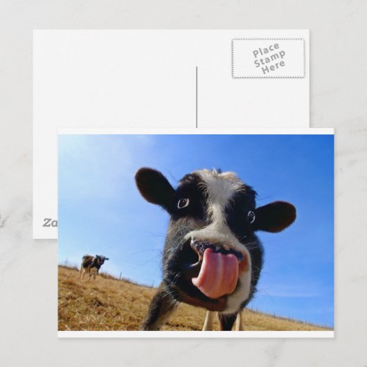 リキン牛 ポストカード (正面/裏面)