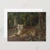 リクライニングタイガー(Geza Vastagh) ポストカード (正面/裏面)