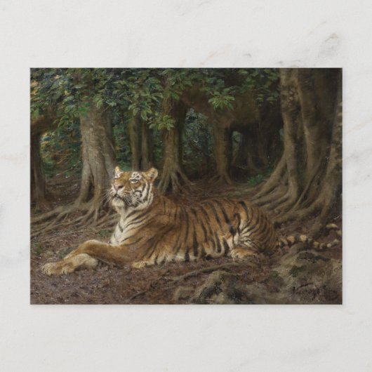 リクライニングタイガー(Geza Vastagh) ポストカード (正面)