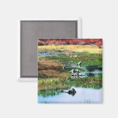 リケッツグレン州パーク、PA マグネット (正面/裏面)