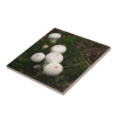 リコペルドンパフボールキノコ タイル (側面)