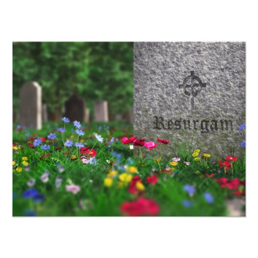 リサーガムフォトプリント フォトプリント            (正面)