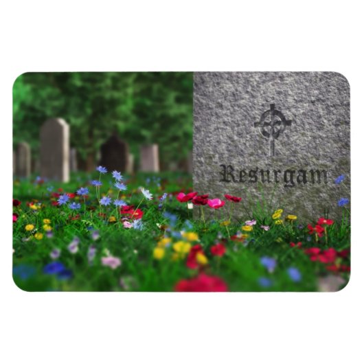 リサーガムフレキシブル磁石 マグネット (横)