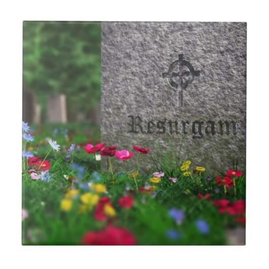 リサーガム装飾瓦 タイル (正面)