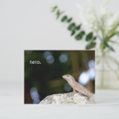 リザードこんにちは ポストカード (スタンド正面)