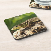 リザードコースター コースター (左側)