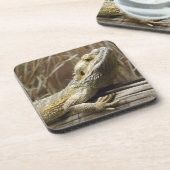 リザードコースター コースター (左側)