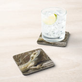 リザードコースター コースター (右側)