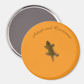 リザードスタイル マグネット (正面/裏面)