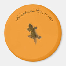 リザードスタイル