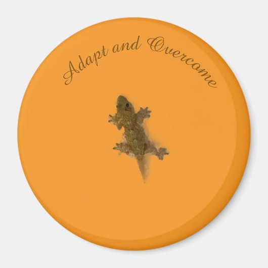 リザードスタイル マグネット (正面)