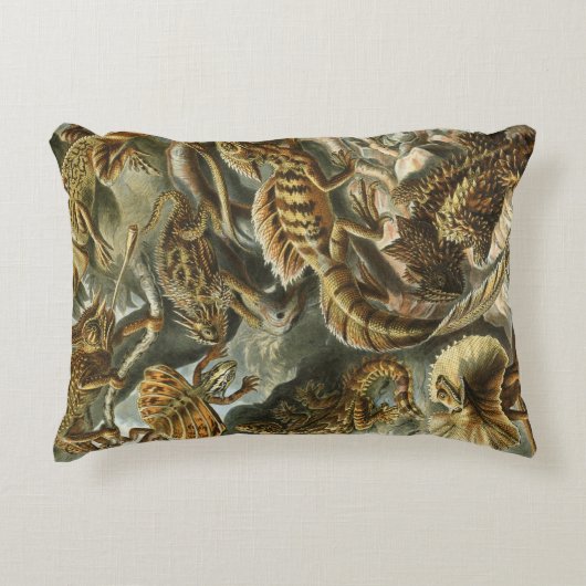 リザードバイエルンストヘッケルヴィンテージラケルティリア アクセントクッション (正面)