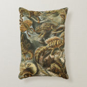 リザードバイエルンストヘッケルヴィンテージラケルティリア アクセントクッション (正面(垂直))