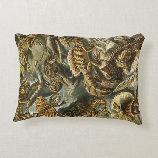 リザードバイエルンストヘッケルヴィンテージラケルティリア アクセントクッション (裏面)