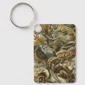 リザードバイエルンストヘッケルヴィンテージラケルティリア キーホルダー (正面)