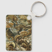 リザードバイエルンストヘッケルヴィンテージラケルティリア キーホルダー (裏面)