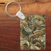 リザードバイエルンストヘッケルヴィンテージラケルティリア キーホルダー (正面)