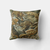 リザードバイエルンストヘッケルヴィンテージラケルティリア クッション (裏面)