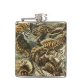 リザードバイエルンストヘッケルヴィンテージラケルティリア フラスク (正面)