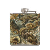 リザードバイエルンストヘッケルヴィンテージラケルティリア フラスク (裏面)