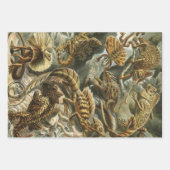 リザードバイエルンストヘッケルヴィンテージラケルティリア ラッピングペーパーシート (正面3)