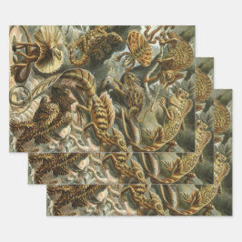 リザードバイエルンストヘッケルヴィンテージラケルティリア ラッピングペーパーシート