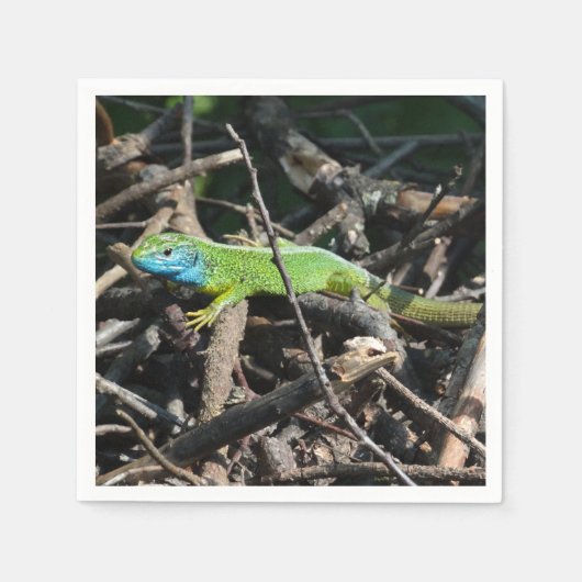 リザードフォトカクテル紙ナプキンス スタンダードカクテルナプキン (正面)