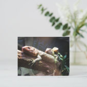 リザードラウンジはがき ポストカード (スタンド正面)