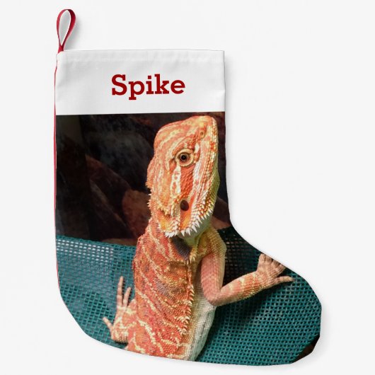 リザードラバーペットの写真と名前パーソナライズされた スモールクリスマスストッキング (正面)