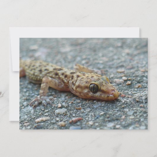 リザード招待状 招待状 (正面)