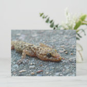 リザード招待状 招待状 (スタンド正面)