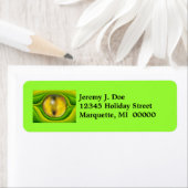 リザード爬虫類眼爬虫性差出人住所ラベル ラベル (インサイチュ)