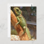 リザード登山アツリーハガキ ポストカード (正面/裏面)