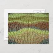 リザード・リッジ ポストカード (正面/裏面)