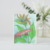 リザール ポストカード (スタンド正面)