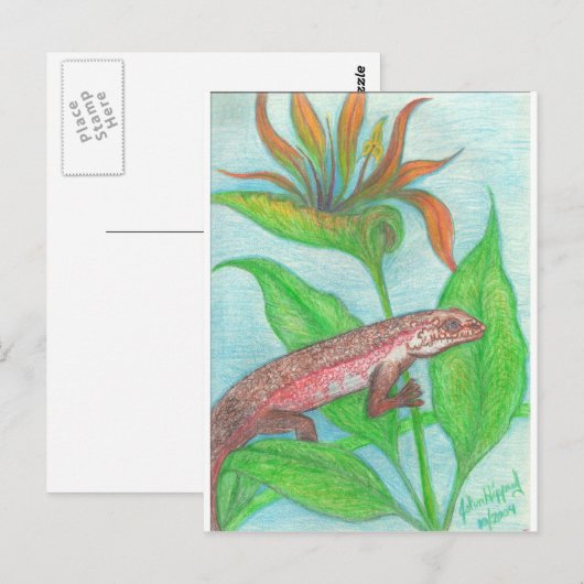 リザール ポストカード (正面/裏面)