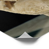 リシアスの胸像 ポスター (角)